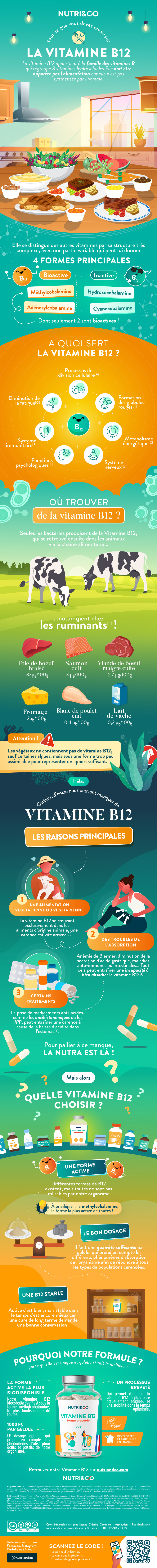 Infographie Vitamine B12
